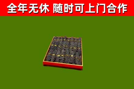 乐山回收海参